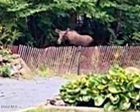 2 S Forty Road Hadley NY 12835