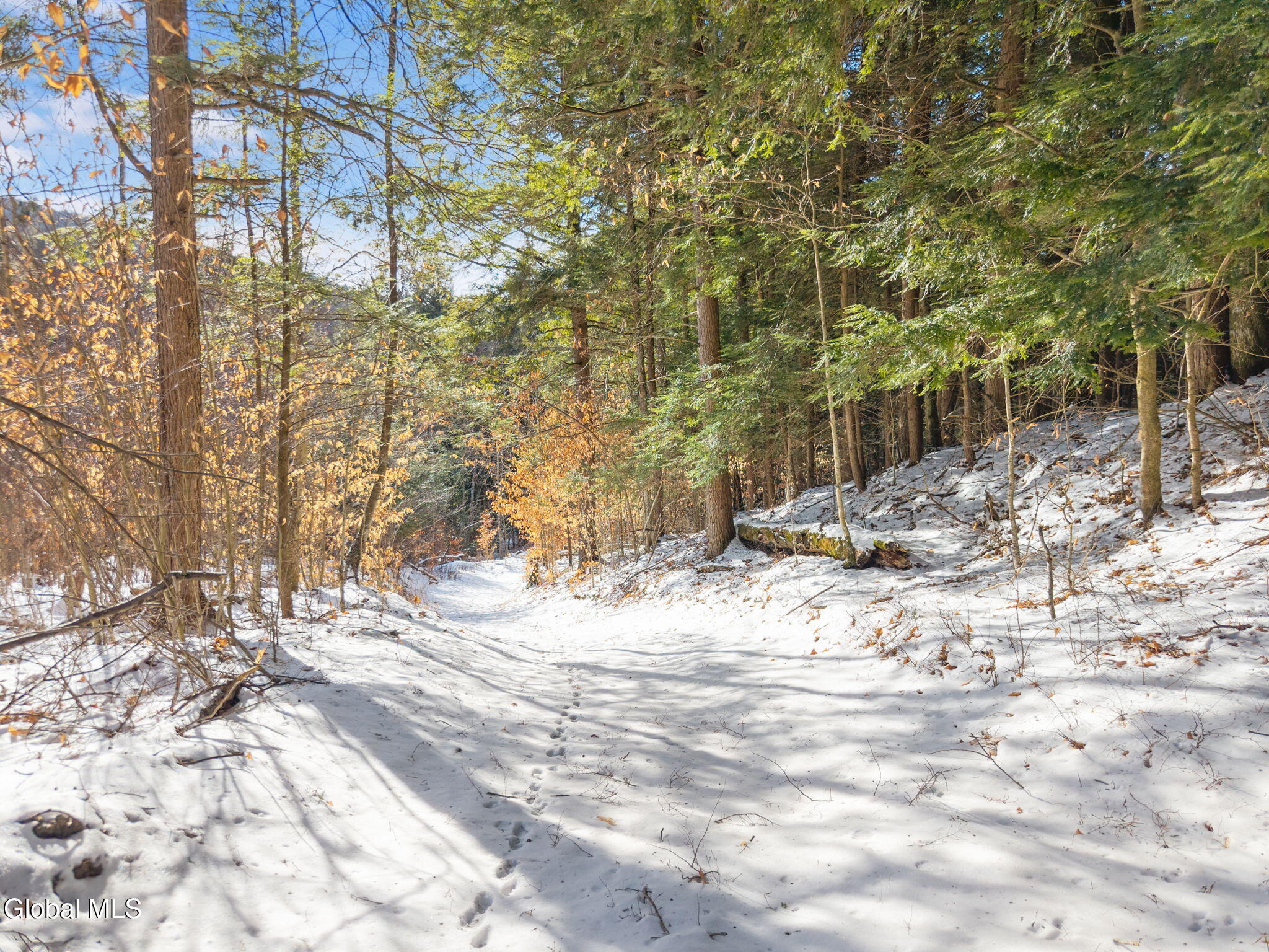 1673 W Fulton Road Warnerville NY 12187