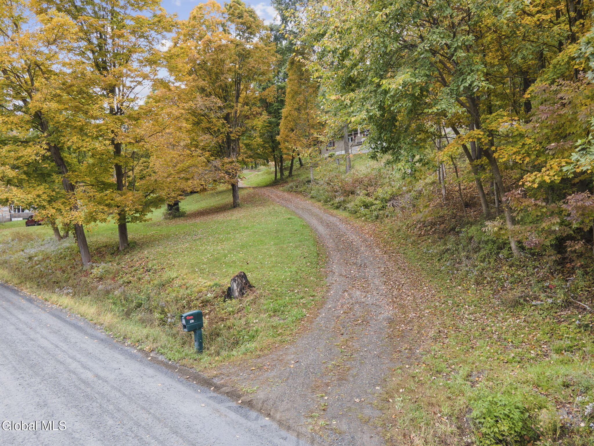 239 River Road Buskirk NY 12028