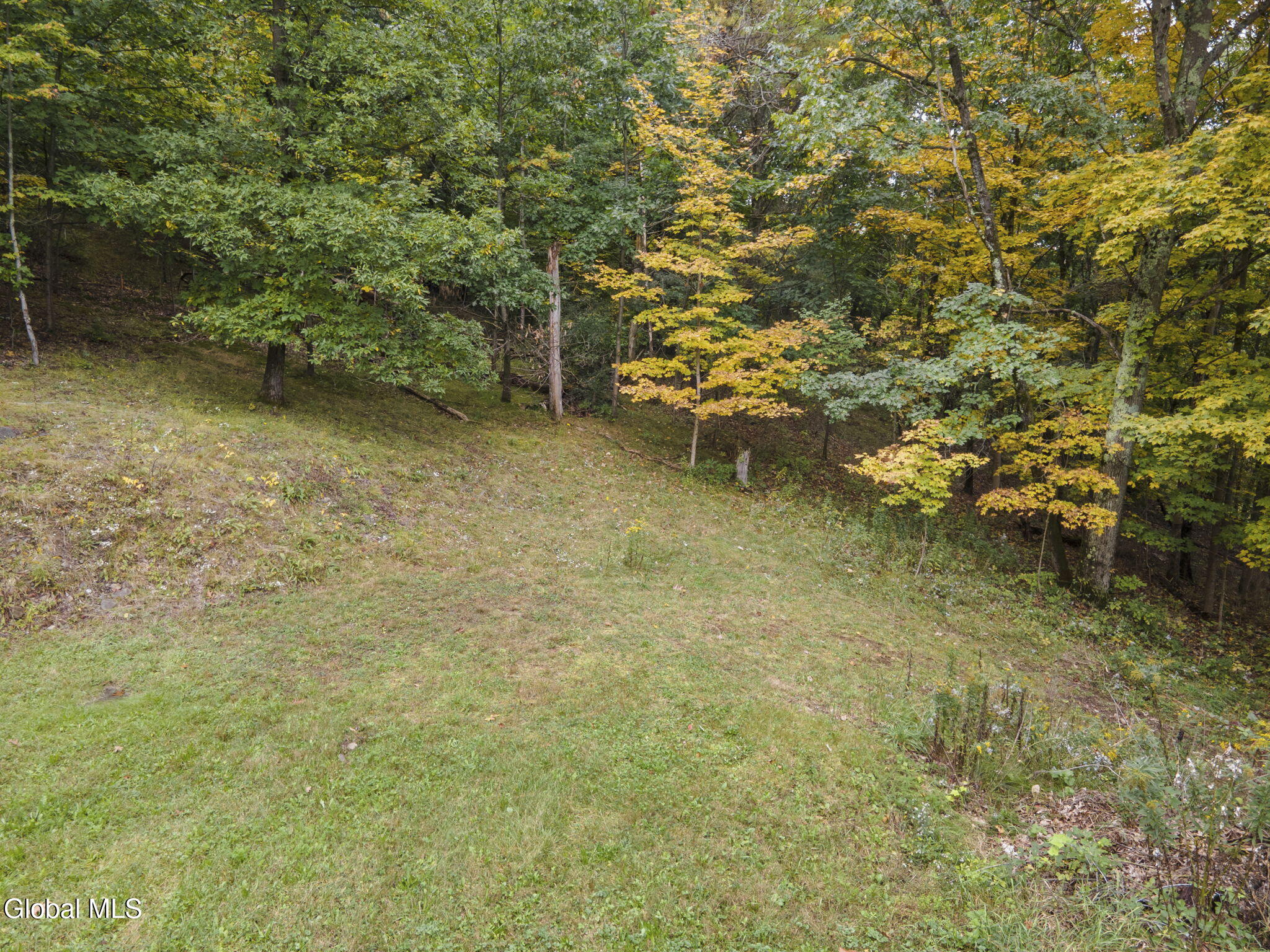 239 River Road Buskirk NY 12028