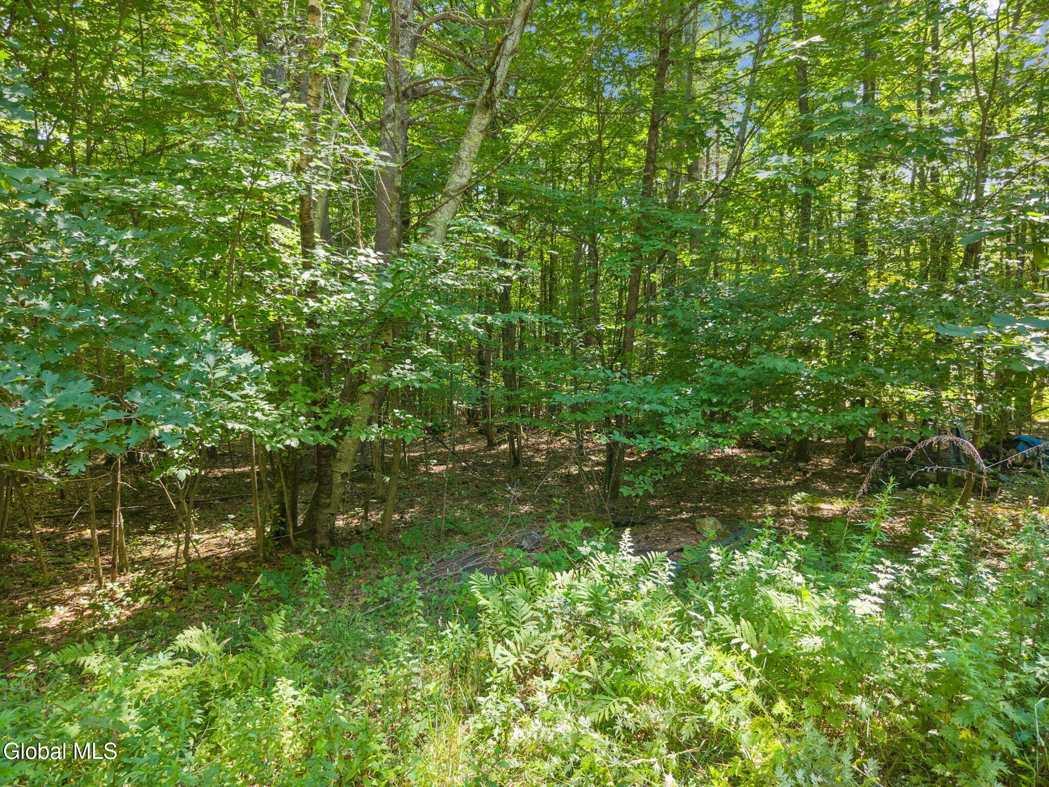 404 Posson Hill Road Middleburgh NY 12122