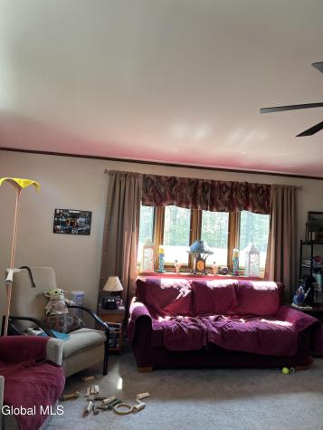 669 Hayesburg Road Brant Lake NY 12815