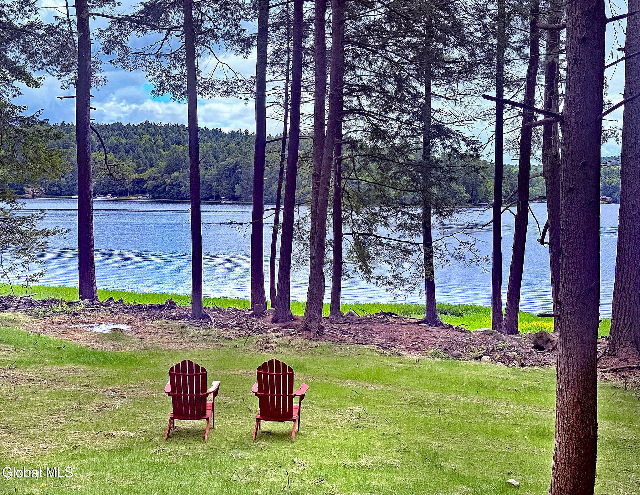 12 Teds Way Diamond Point NY 12824