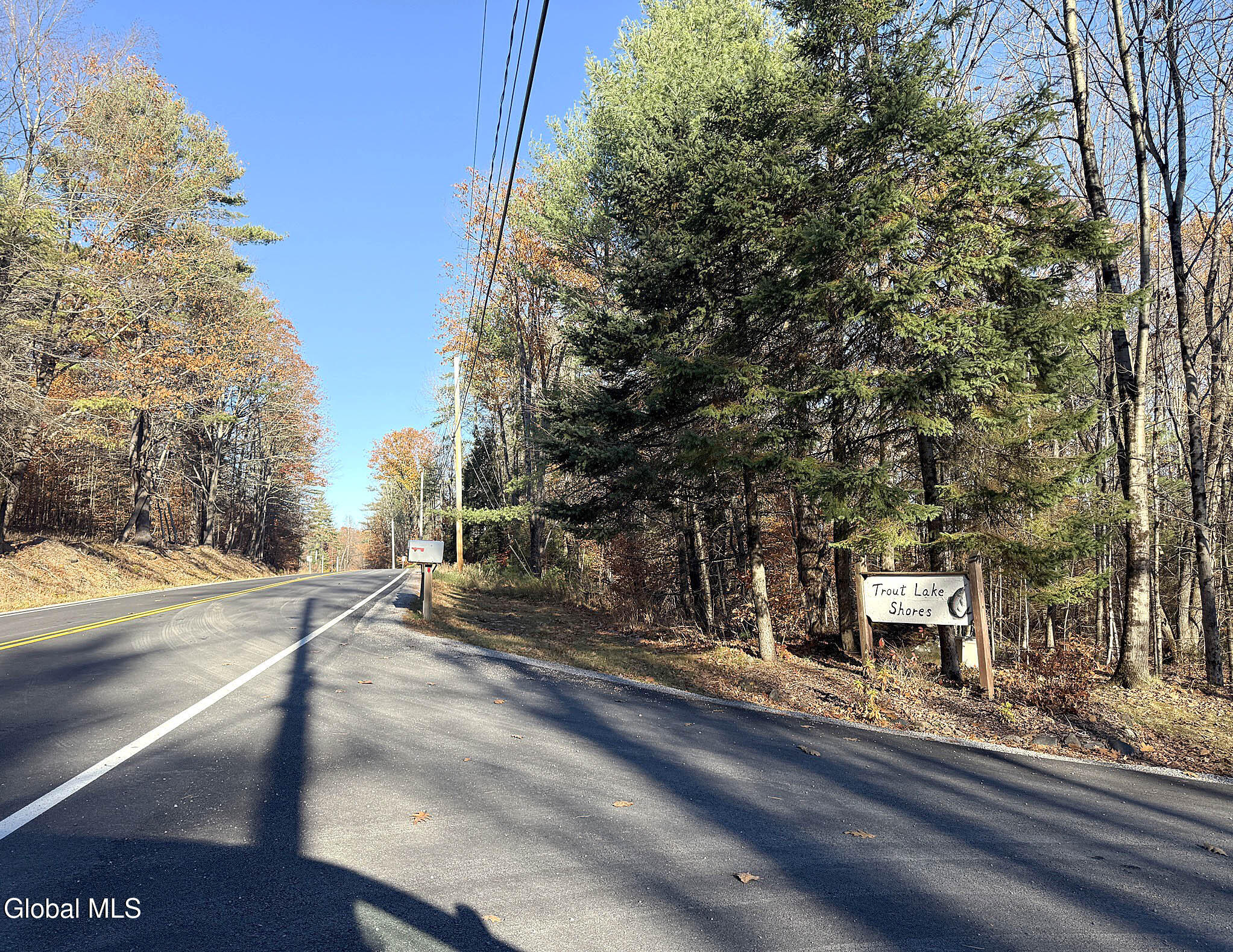 12 Teds Way Diamond Point NY 12824