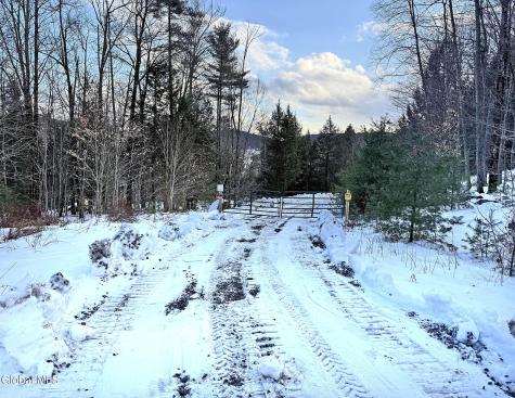 12 Teds Way Diamond Point NY 12824