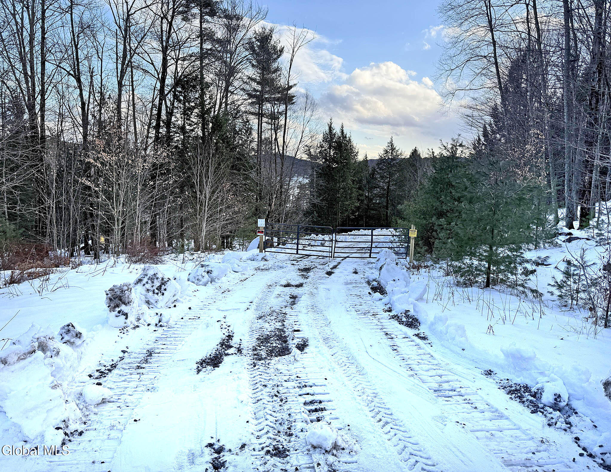 12 Teds Way Diamond Point NY 12824