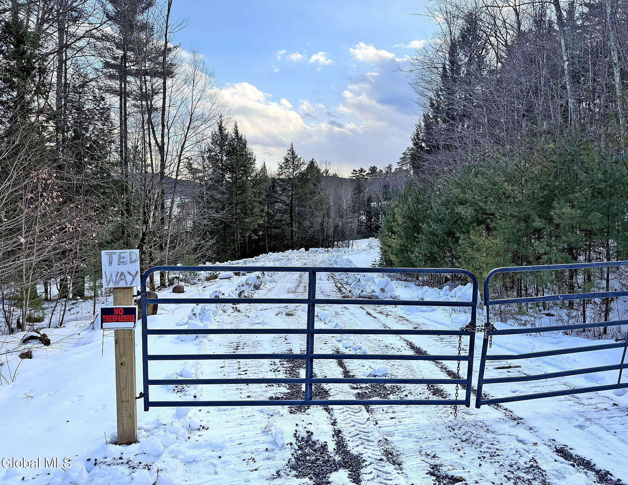 12 Teds Way Diamond Point NY 12824