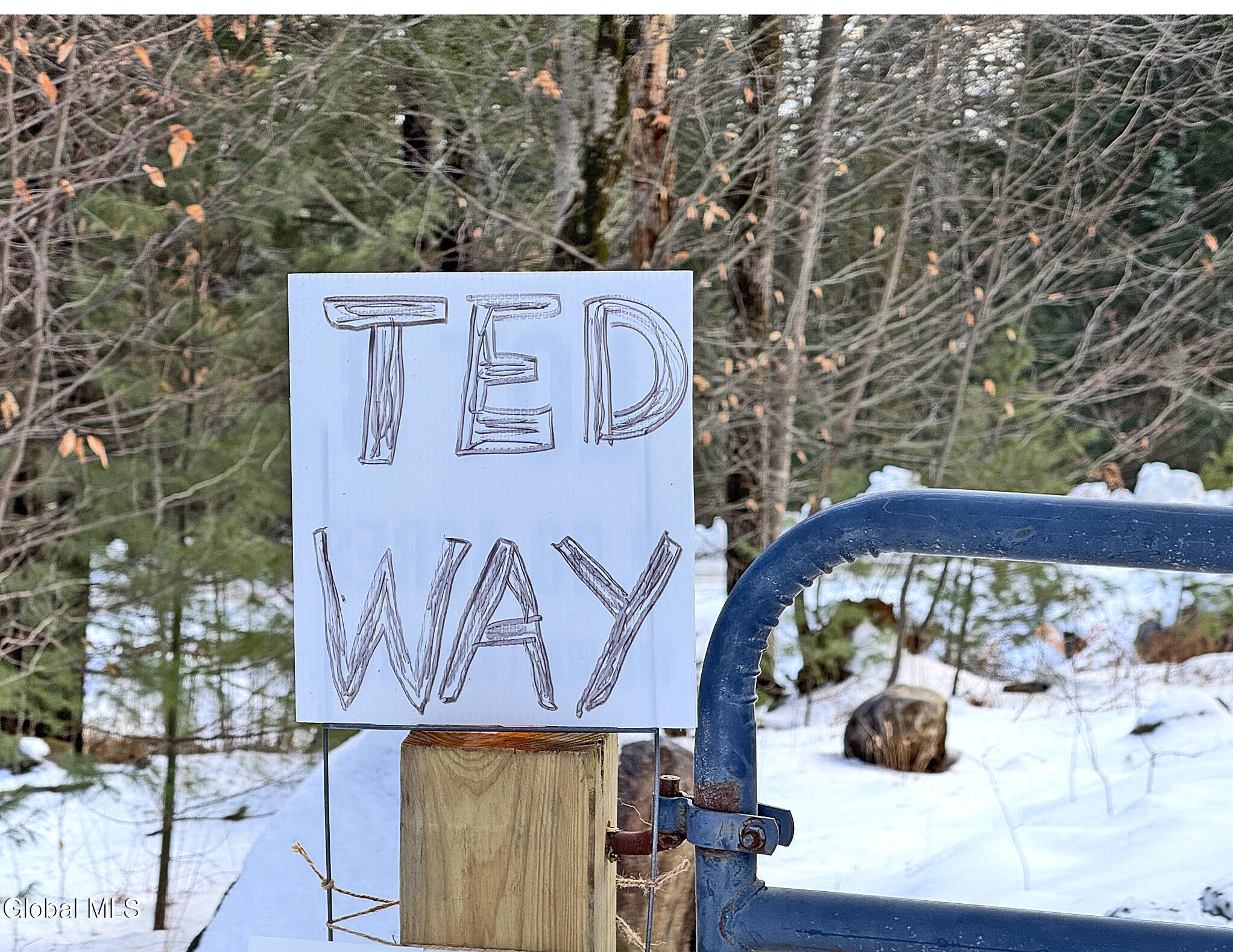 12 Teds Way Diamond Point NY 12824
