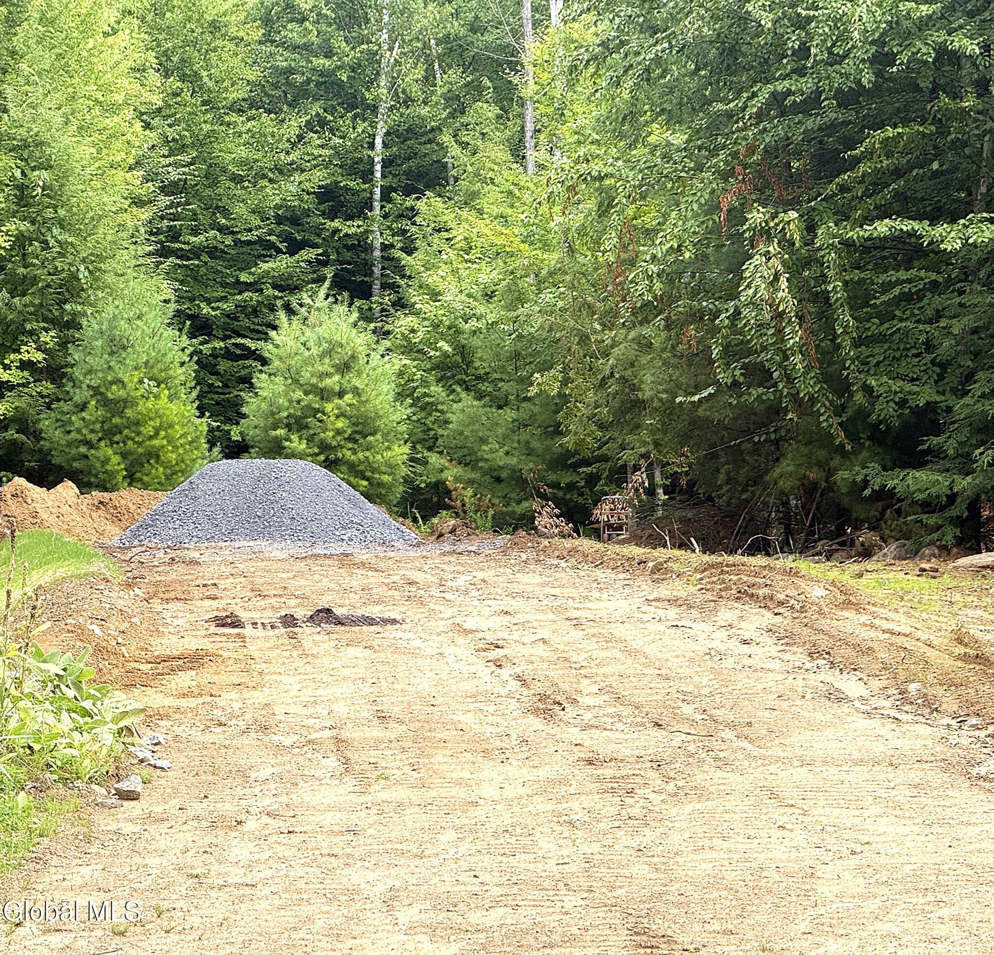 12 Teds Way Diamond Point NY 12824