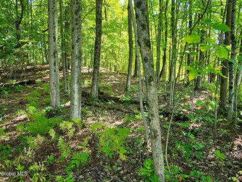 478 County Route 47 Argyle NY 12809