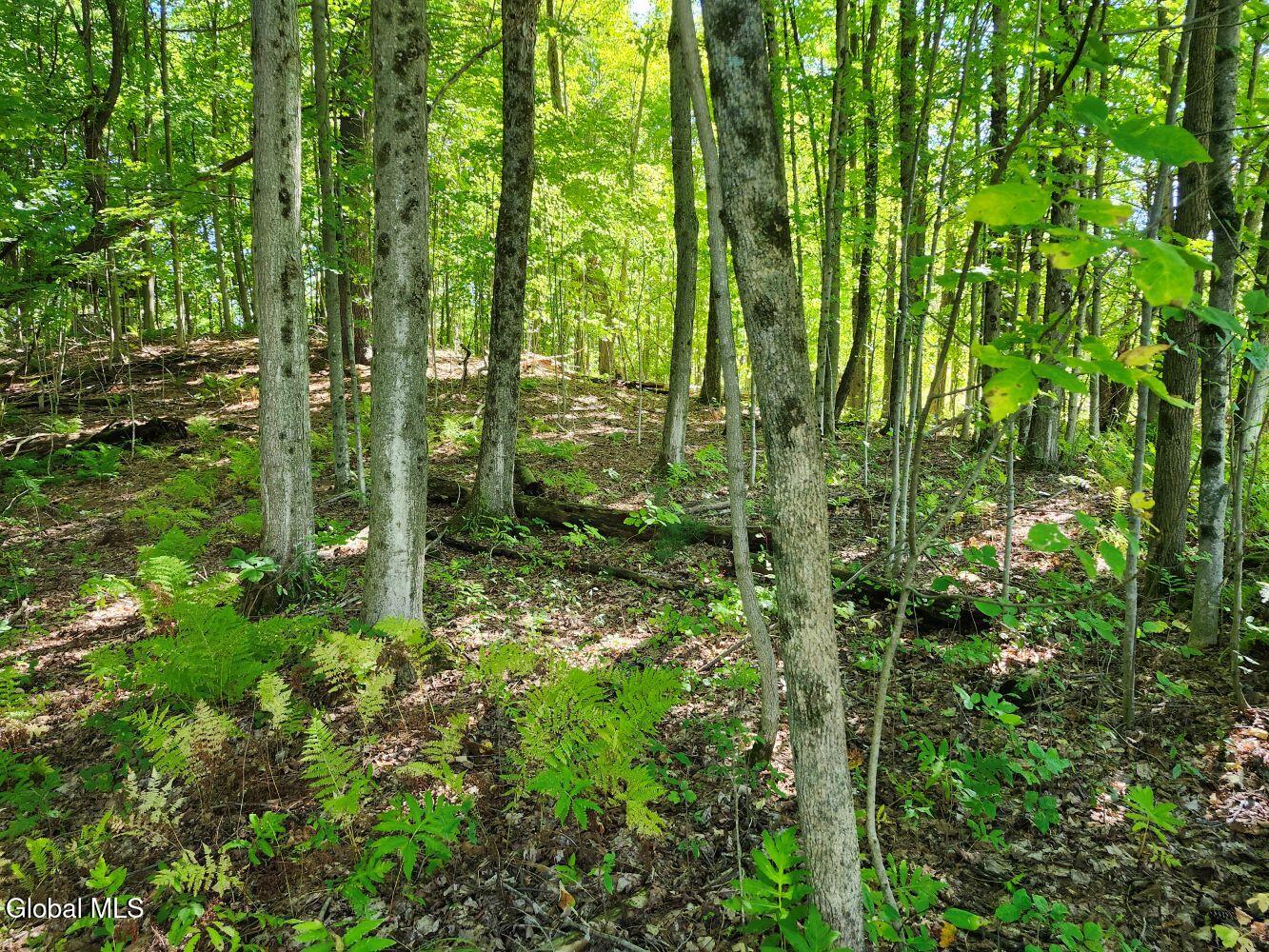 478 County Route 47 Argyle NY 12809