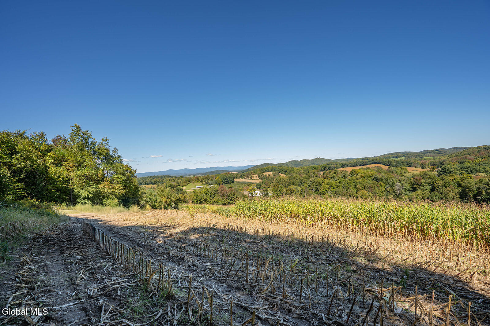 478 County Route 47 Argyle NY 12809