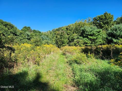 478 County Route 47 Argyle NY 12809