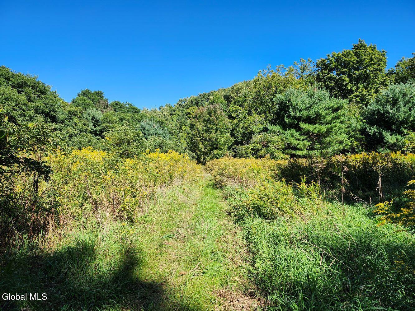 478 County Route 47 Argyle NY 12809