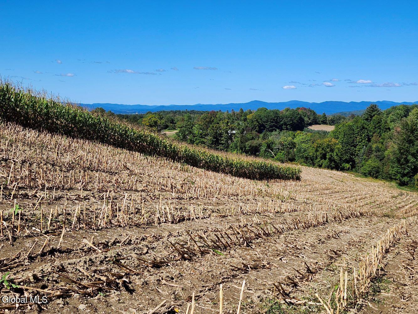 478 County Route 47 Argyle NY 12809