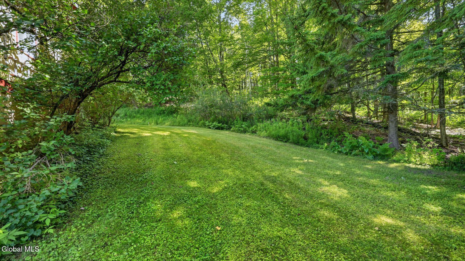 298 Meade Road Charlotteville NY 12036