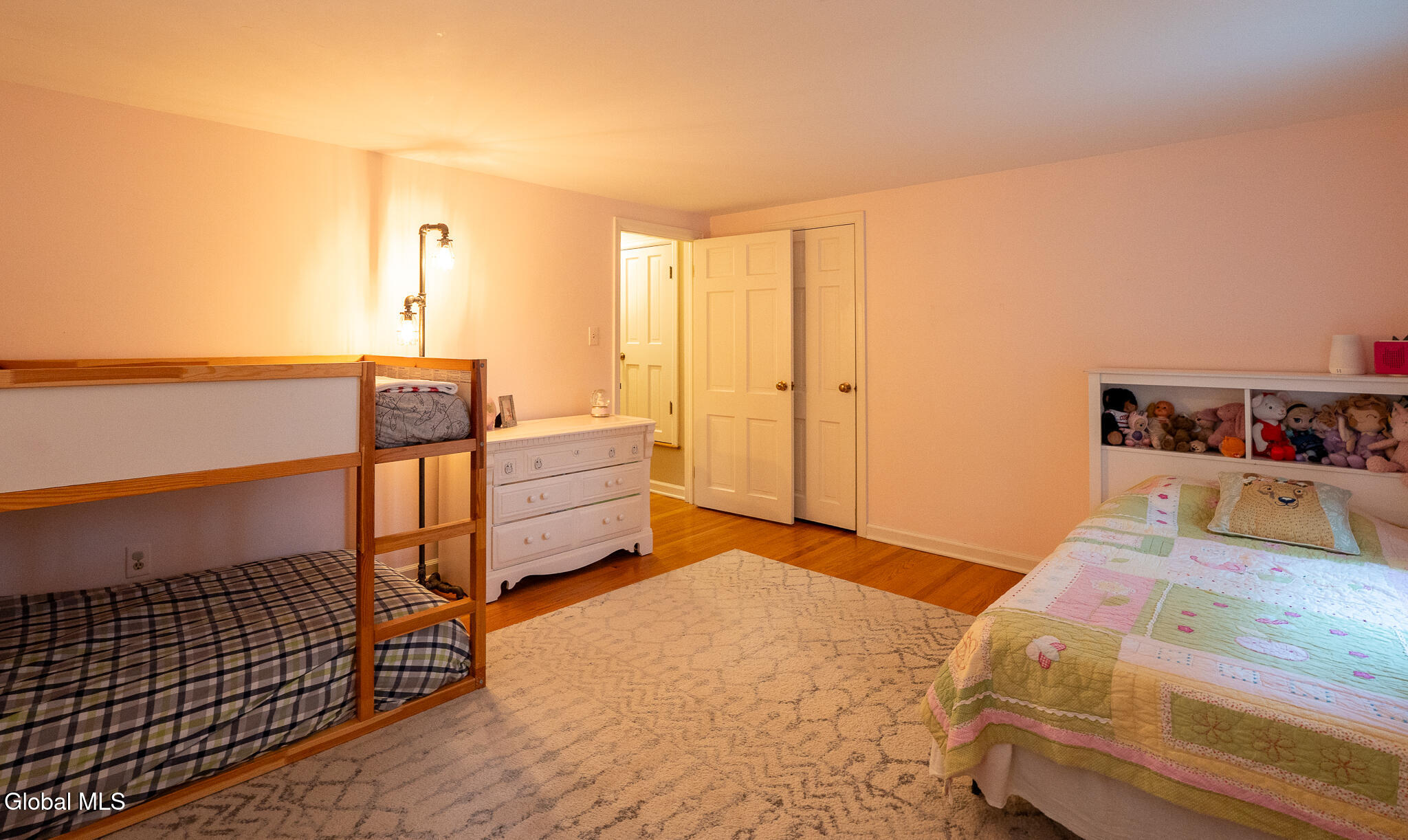 78 Mosher Road Delmar NY 12054