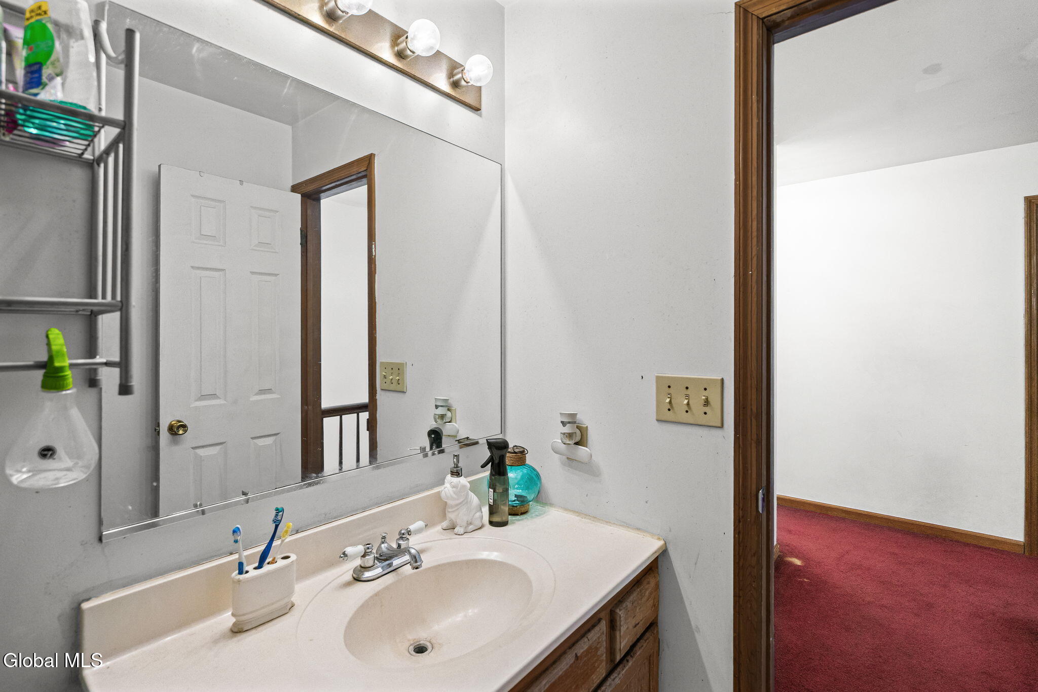 29 Omega Terrace Latham NY 12110