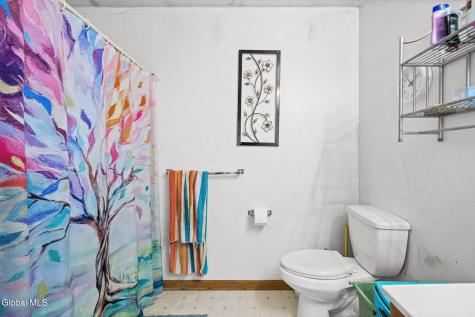 29 Omega Terrace Latham NY 12110