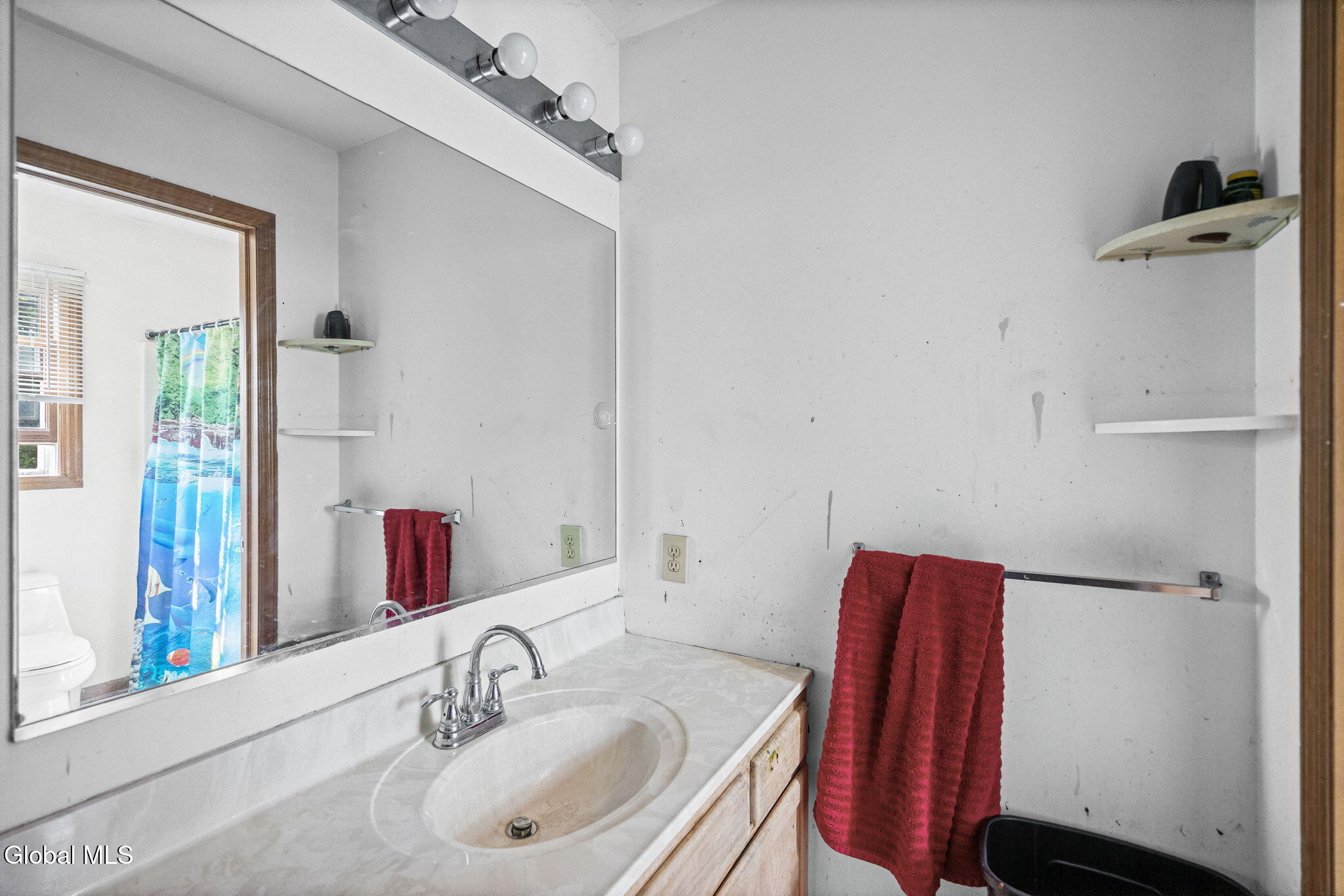 29 Omega Terrace Latham NY 12110