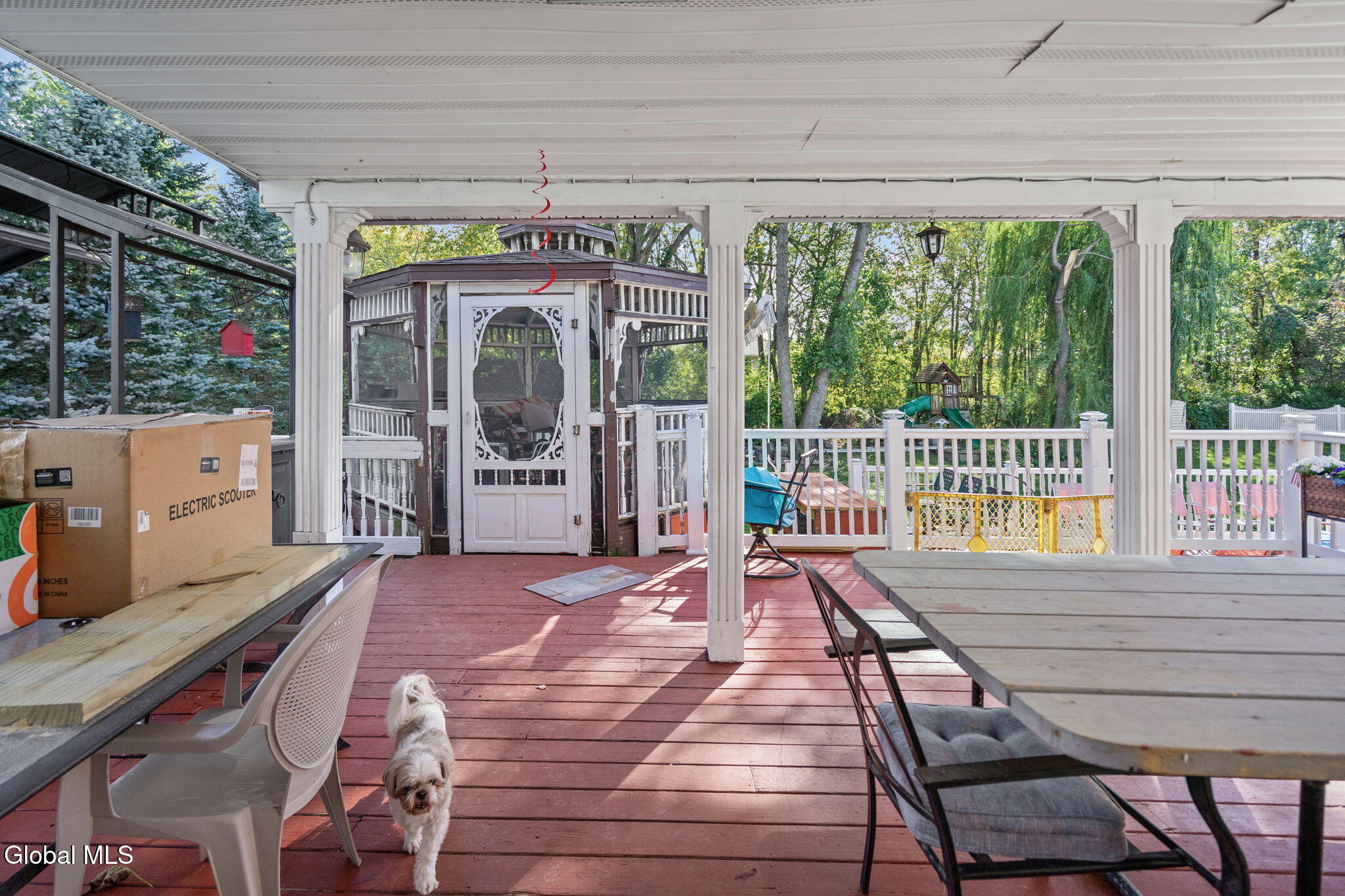 29 Omega Terrace Latham NY 12110