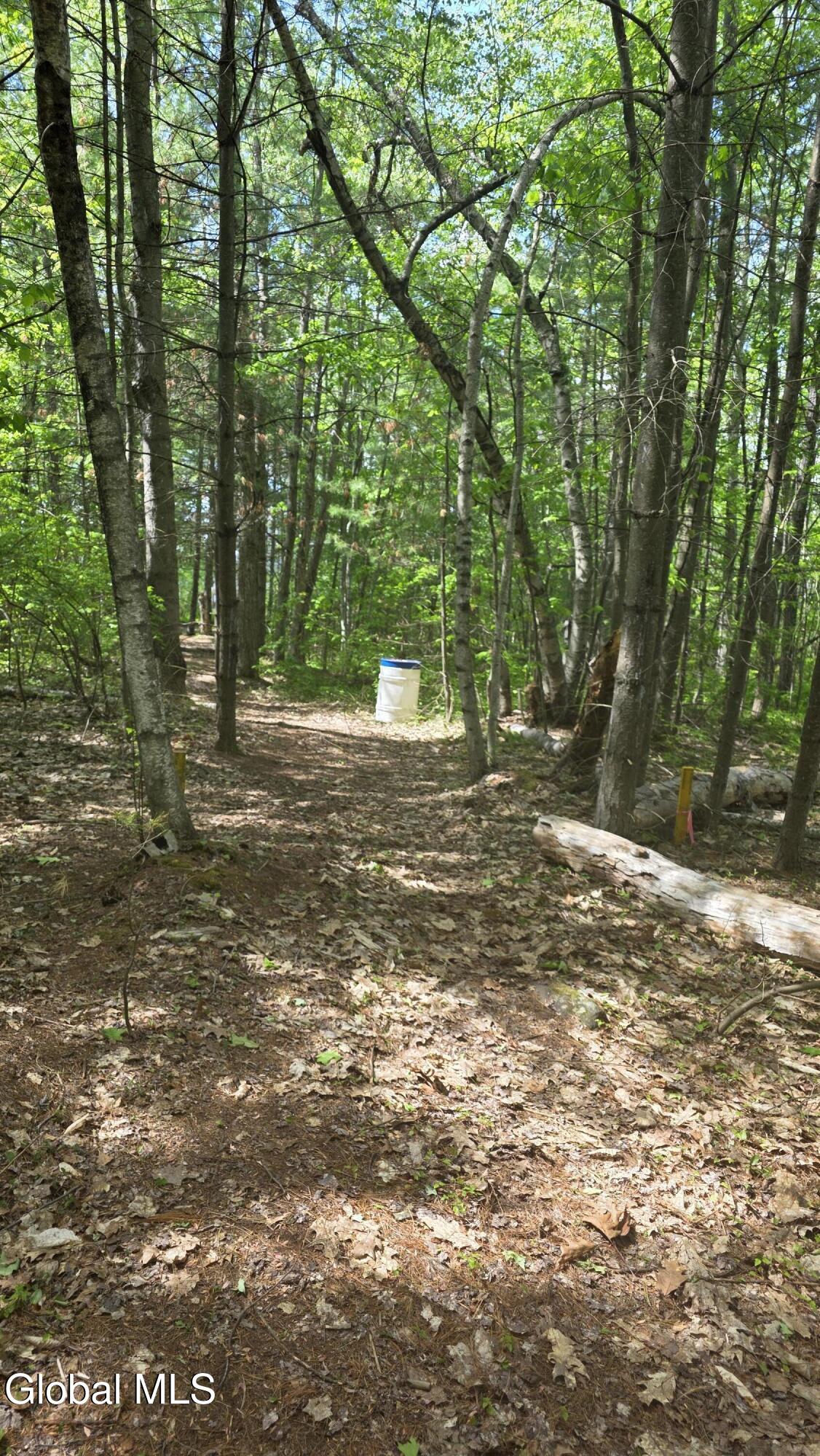 1166 County Road 110 Broadalbin NY 12025