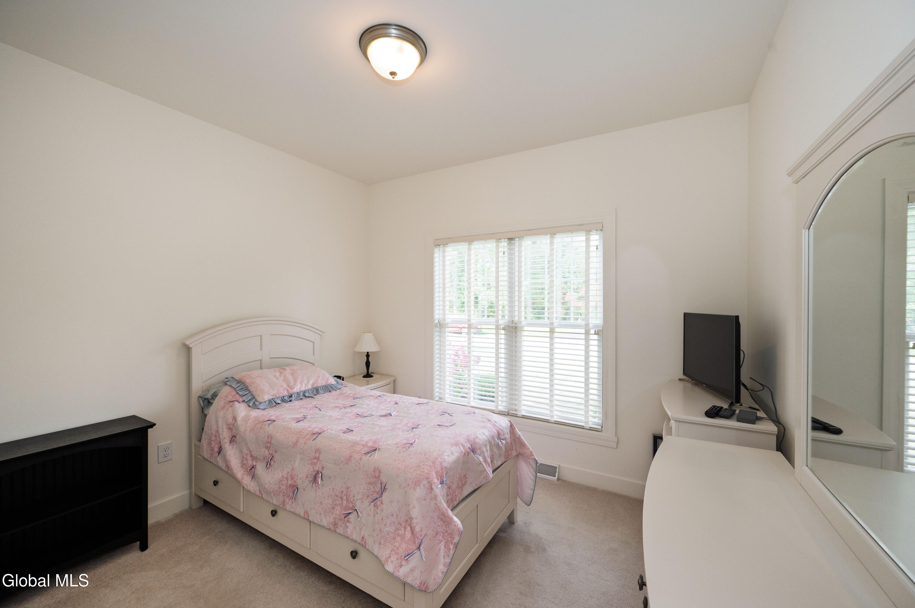 29 Trotter Road Selkirk NY 12158