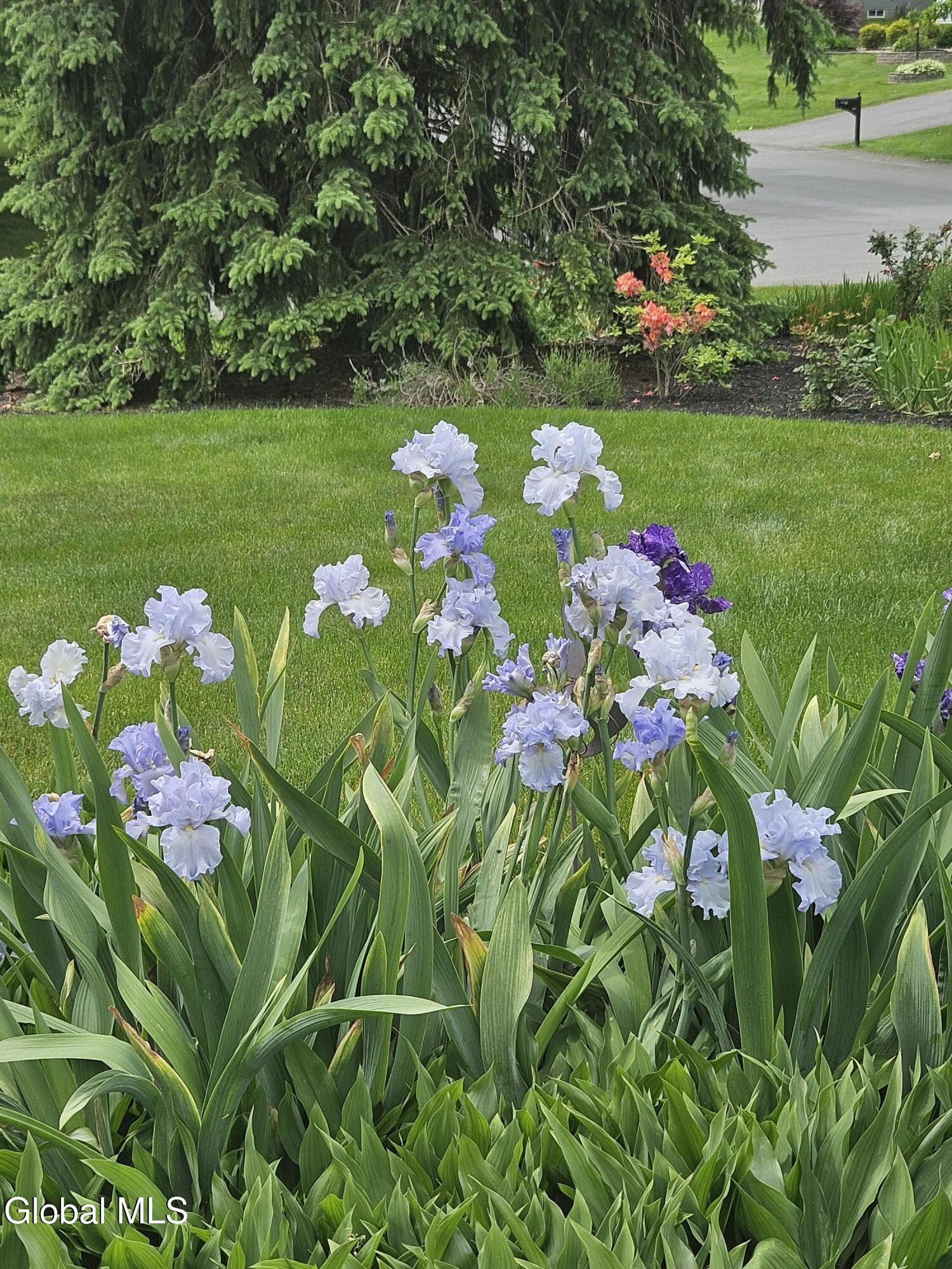 2122 Orchard Park Drive Niskayuna NY 12309
