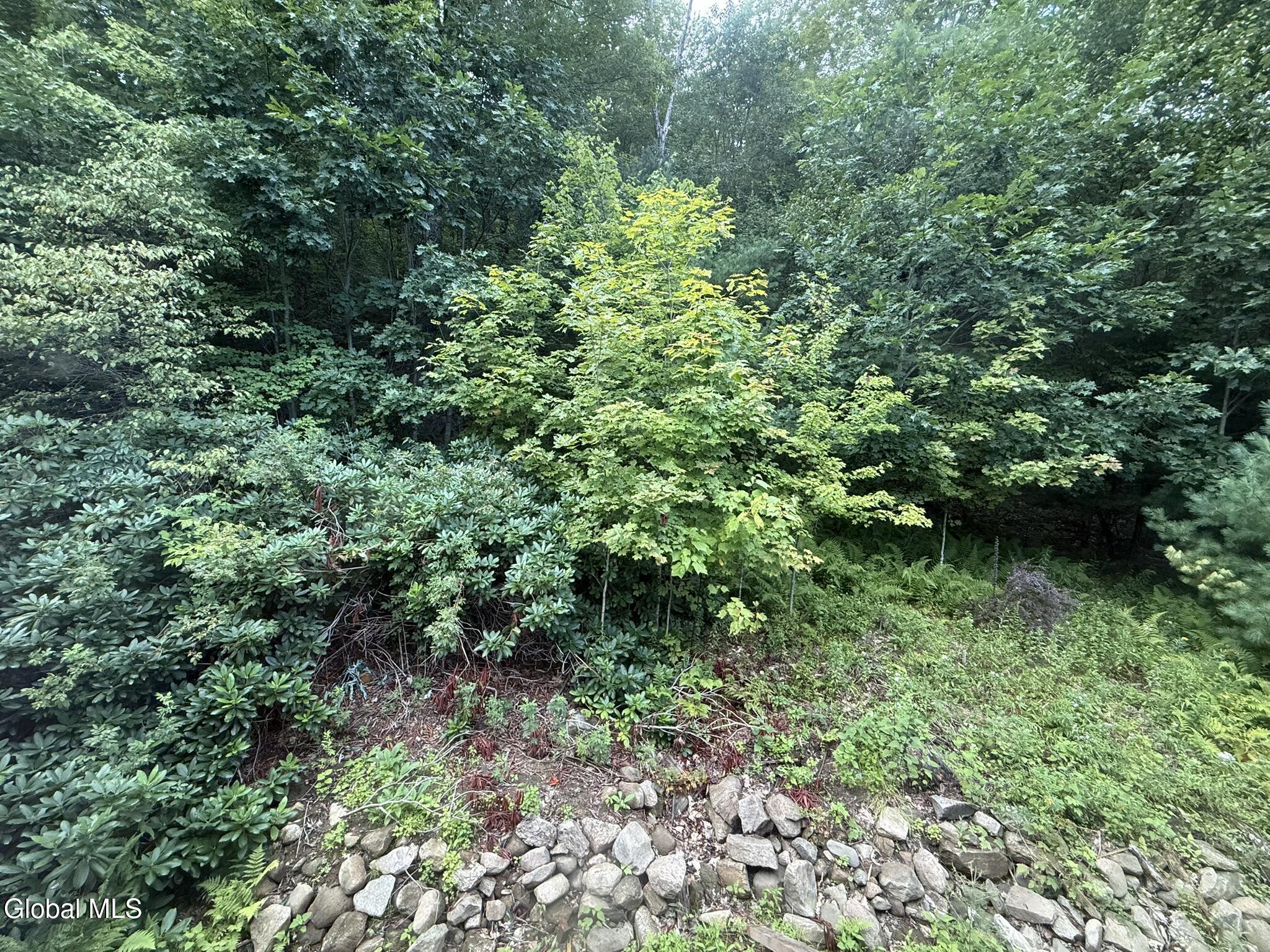 739 Old Stage Road Lake Luzerne NY 12846