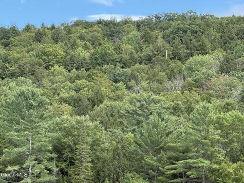 739 Old Stage Road Lake Luzerne NY 12846