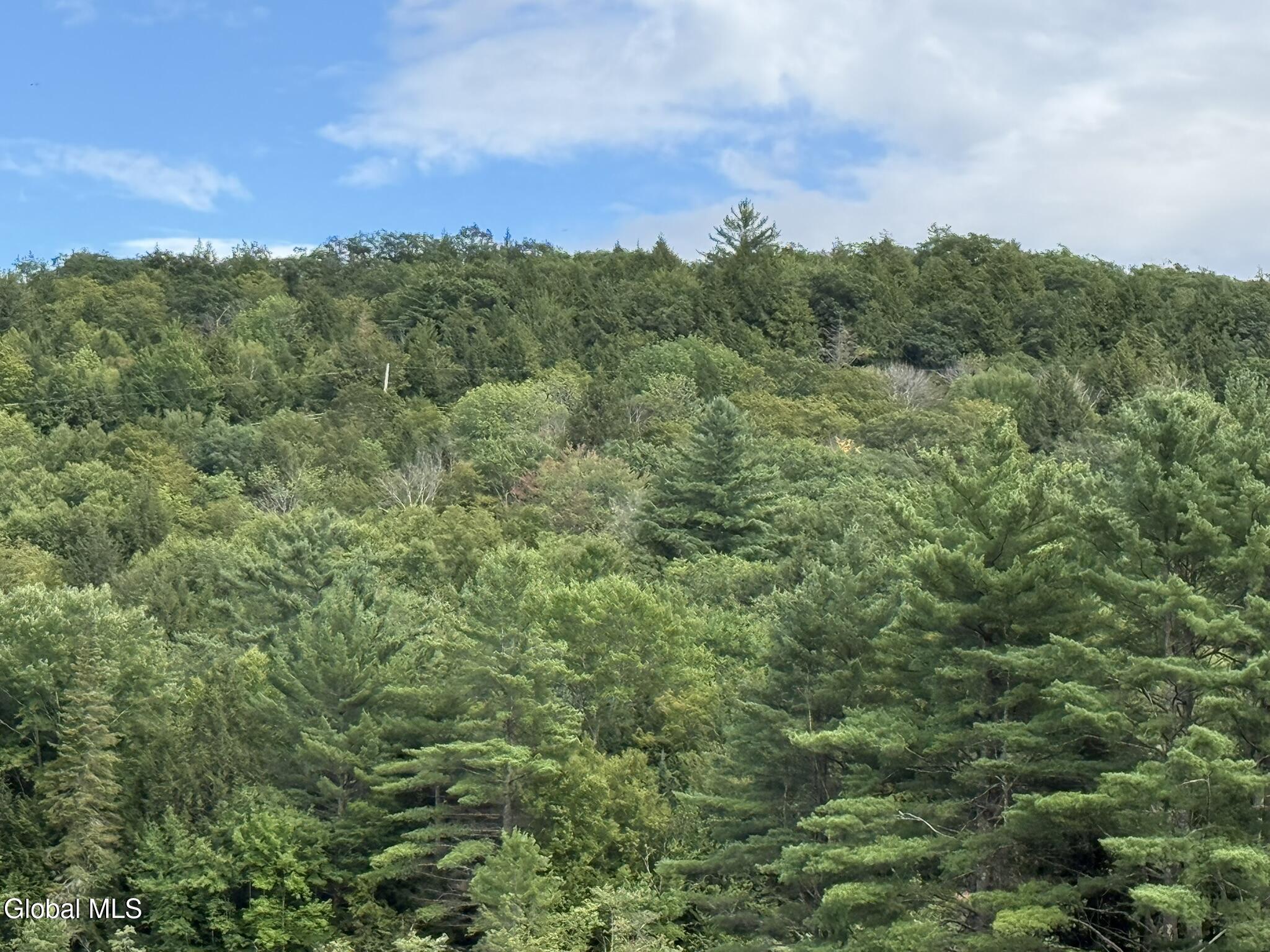 739 Old Stage Road Lake Luzerne NY 12846