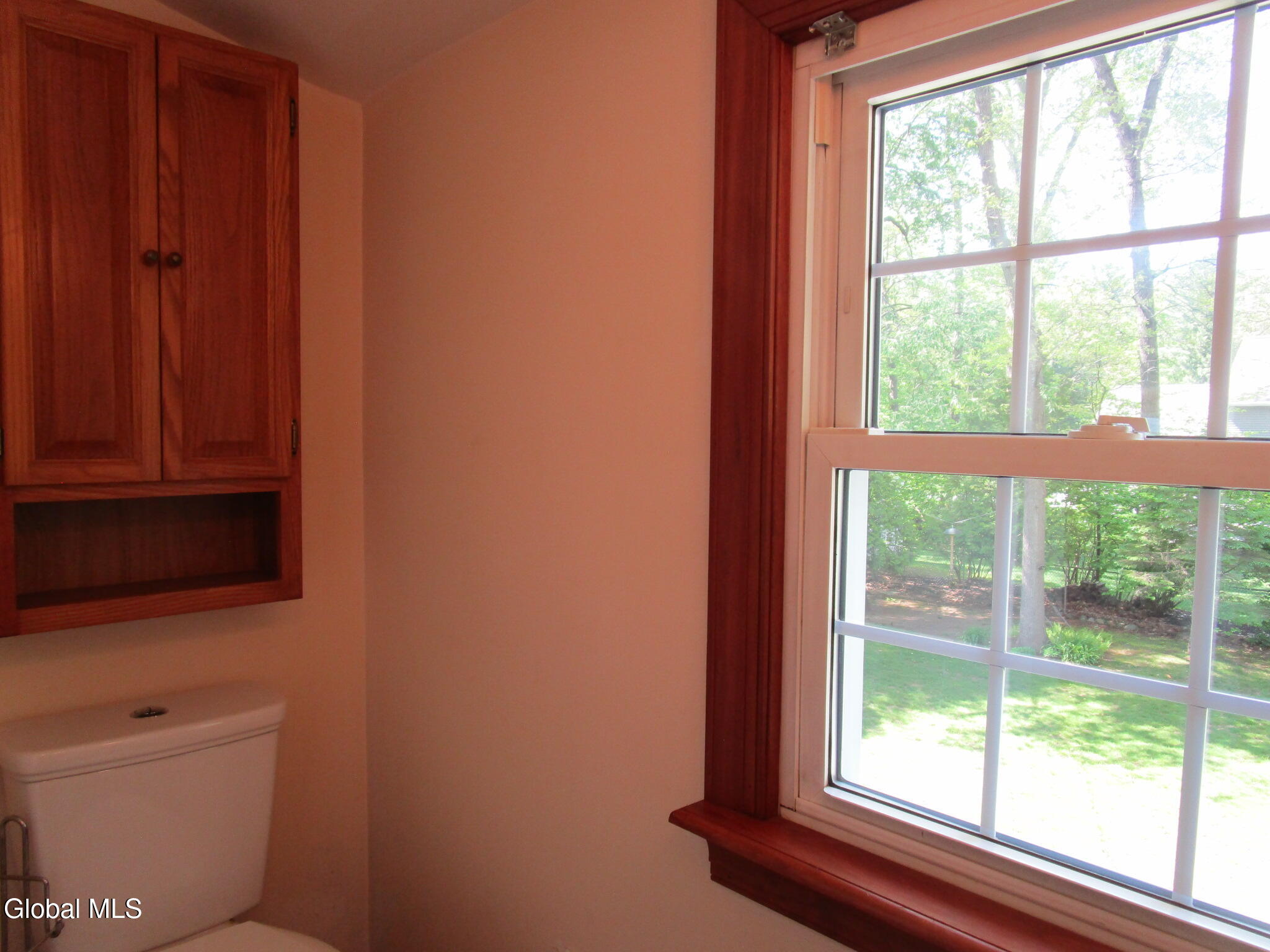 161 Willow Lane Glenville NY 12302