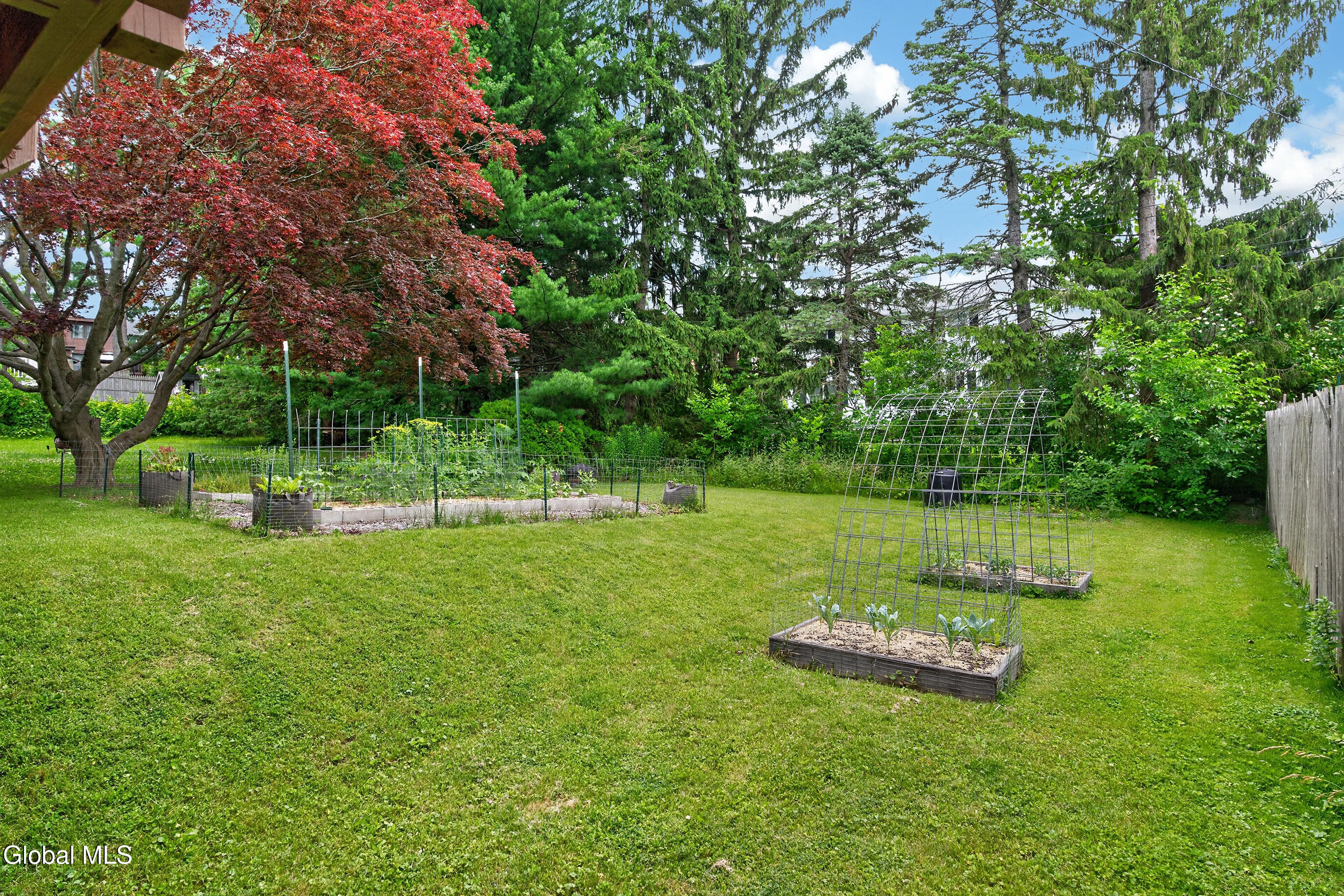 11 Ormond Street Albany NY 12203