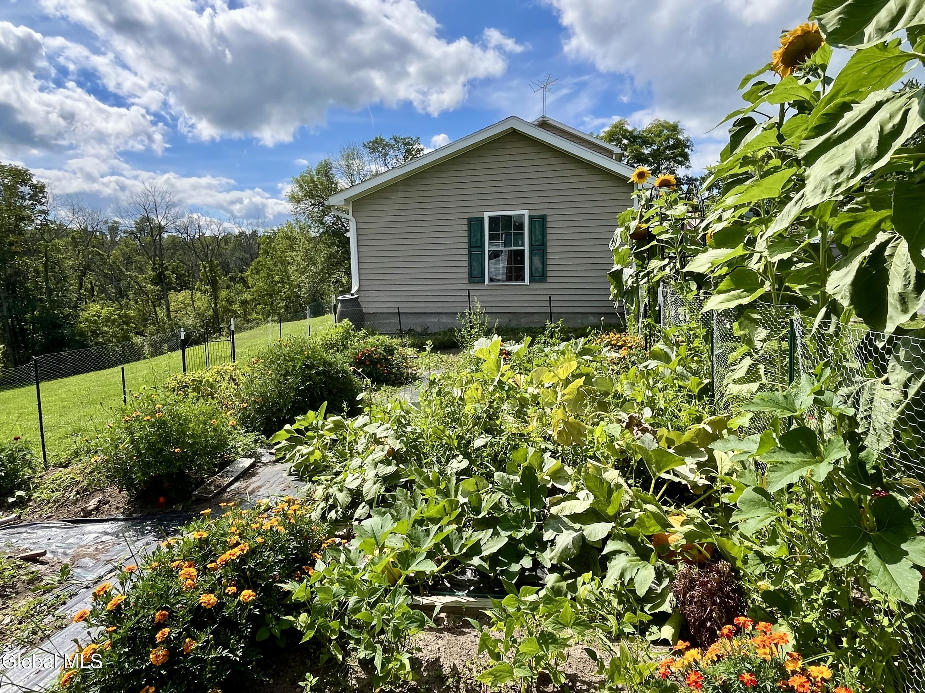 138 Church Street Sharon Springs NY 13459