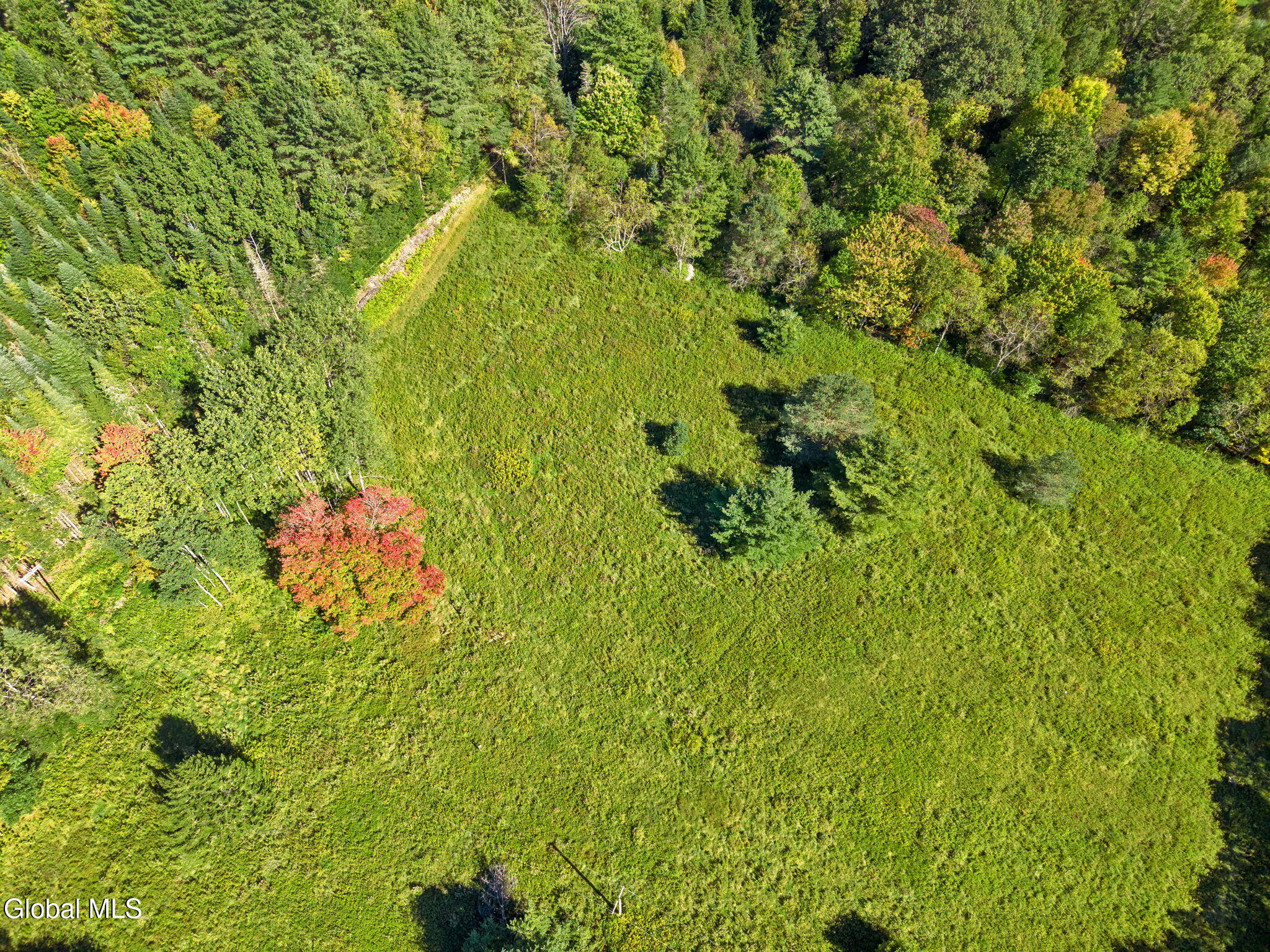 164 Lang Road Summit NY 12175
