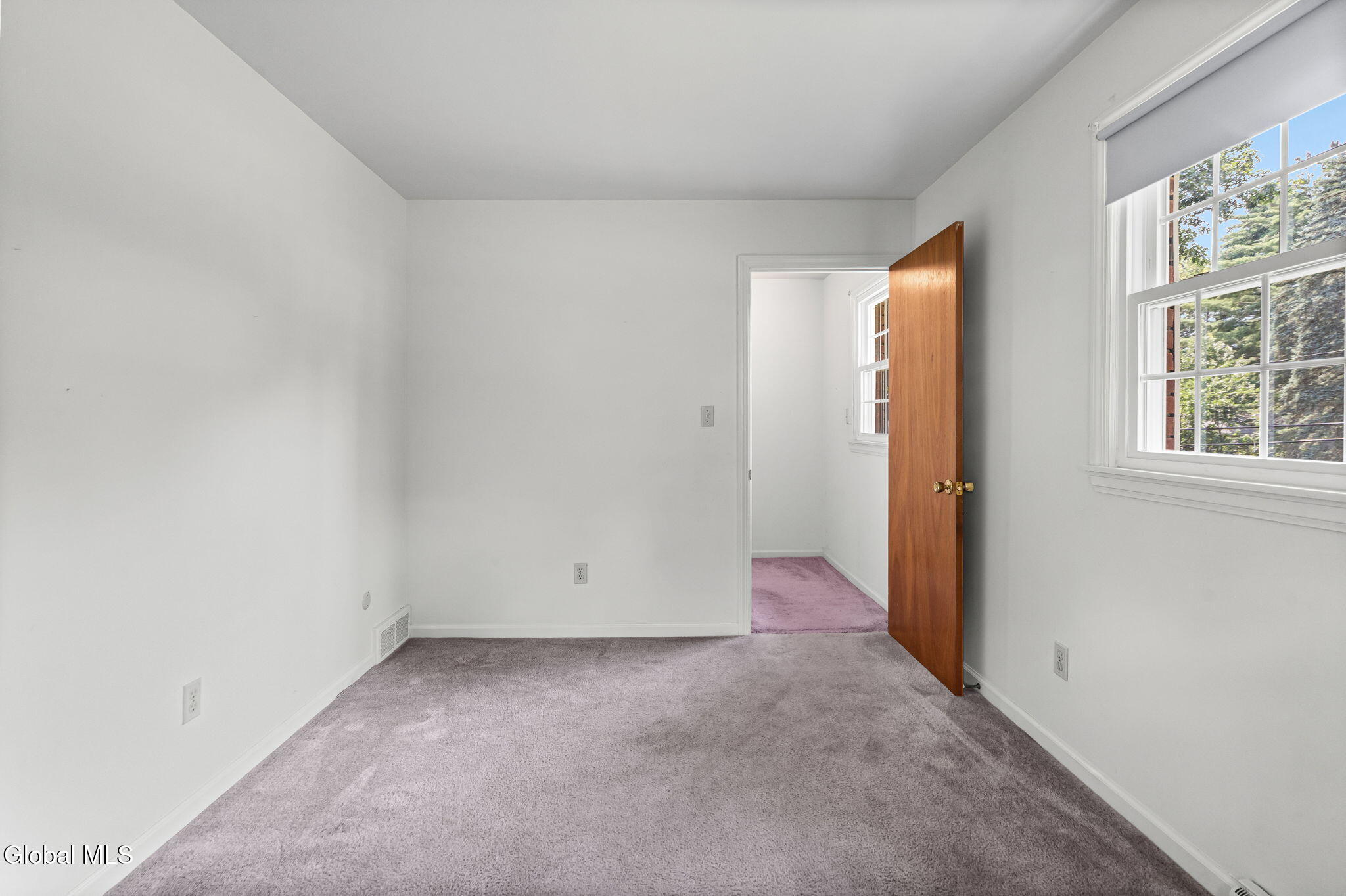 16 Salem Road Delmar NY 12054