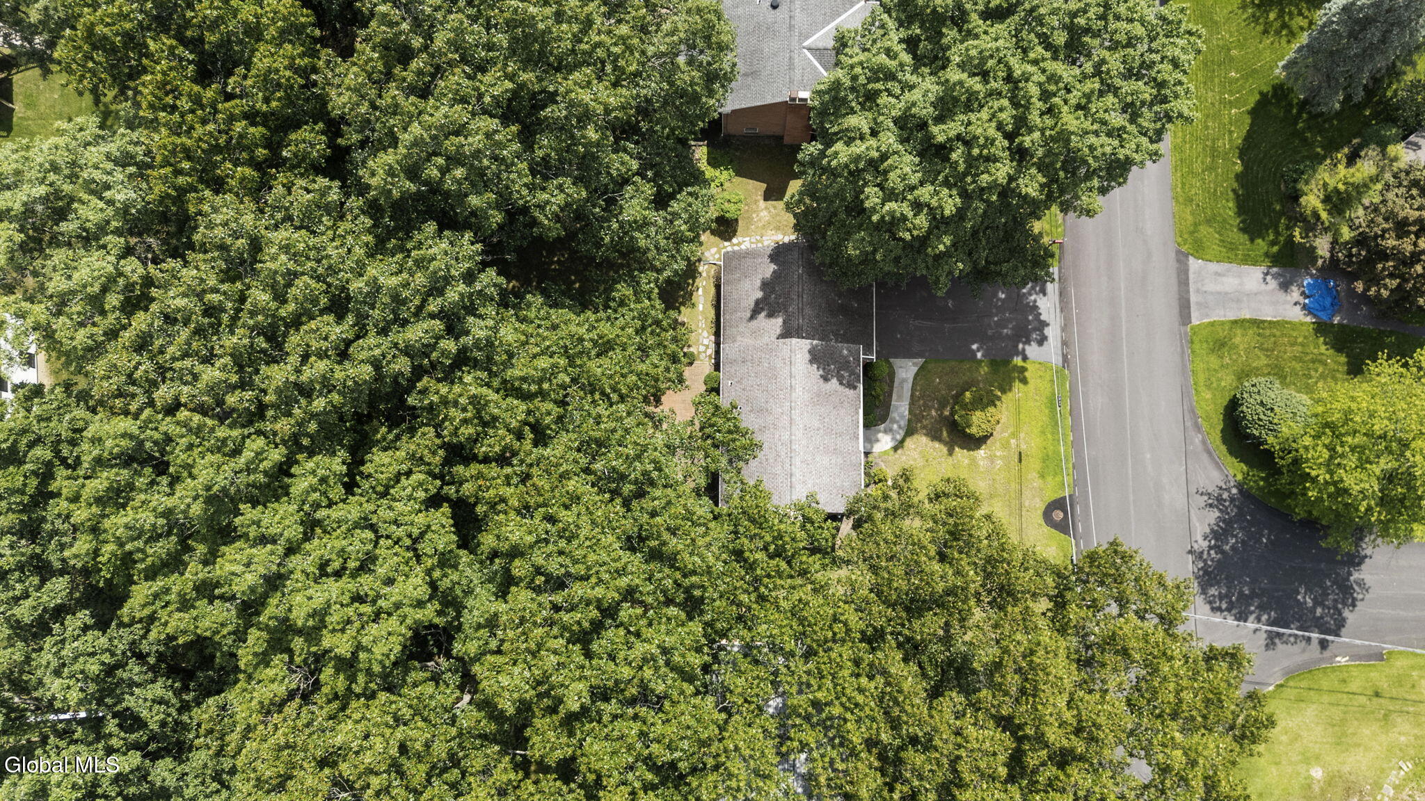 16 Salem Road Delmar NY 12054