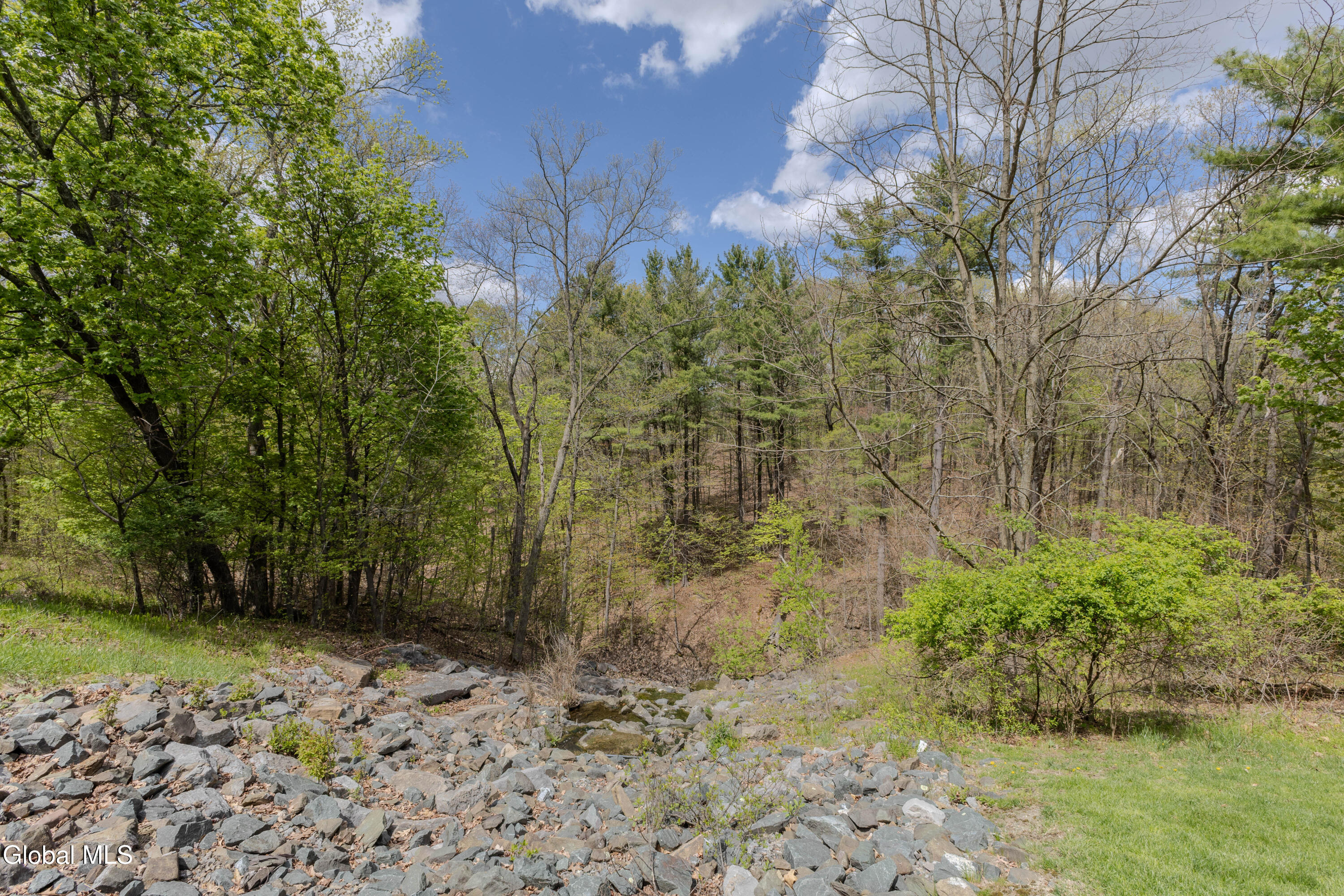 24 Brinker Way Loudonville NY 12211