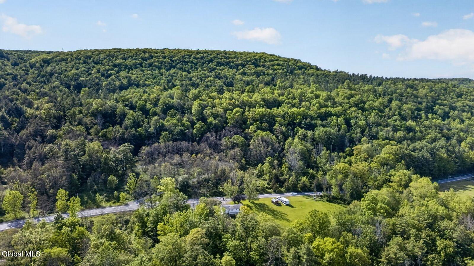 1514 State Route 30 Blenheim NY 12131