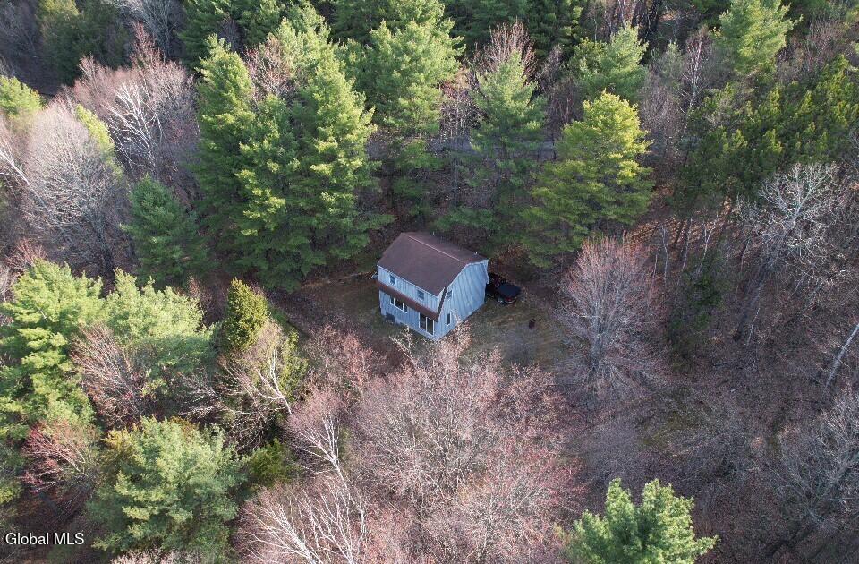 224 High Pine Meadows Road Middleburgh NY 12122
