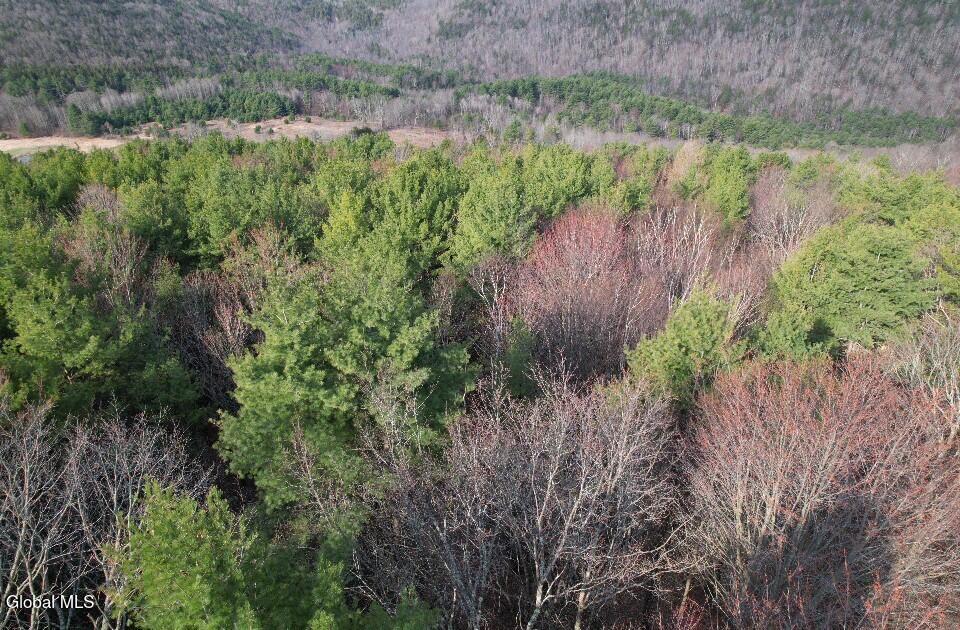 224 High Pine Meadows Road Middleburgh NY 12122