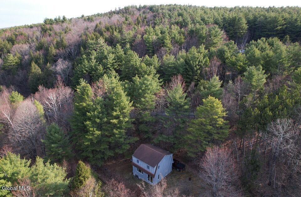 224 High Pine Meadows Road Middleburgh NY 12122