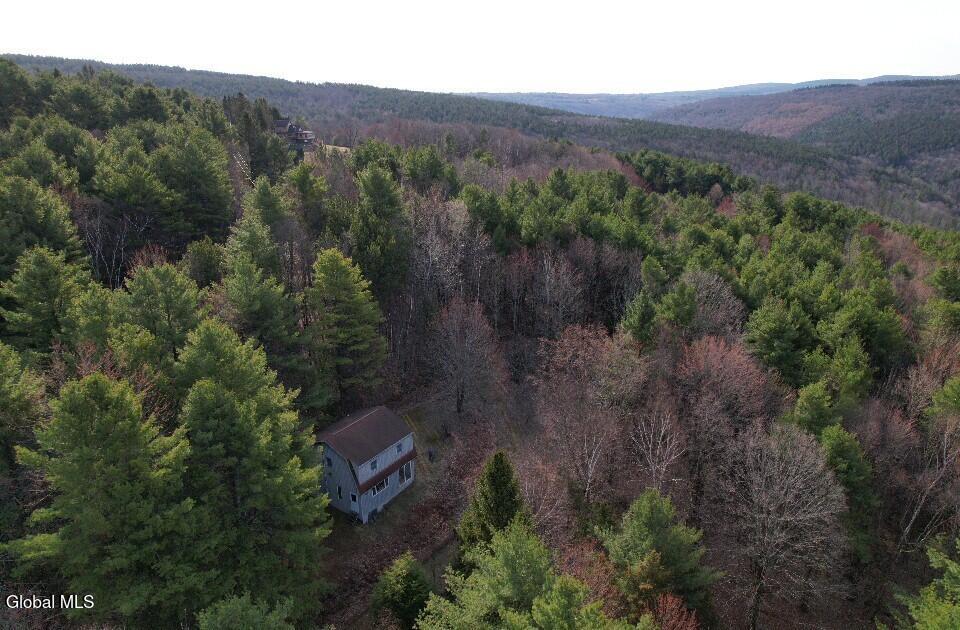 224 High Pine Meadows Road Middleburgh NY 12122
