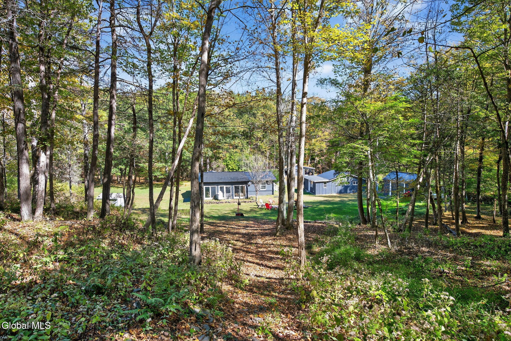 40 Paddock Road East Durham NY 12423