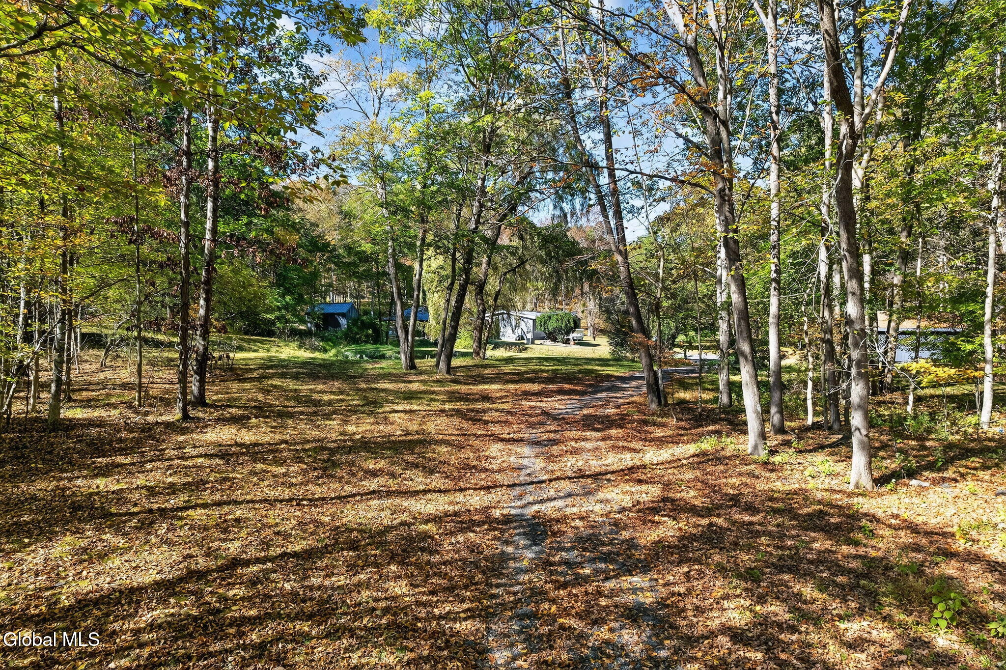 40 Paddock Road East Durham NY 12423