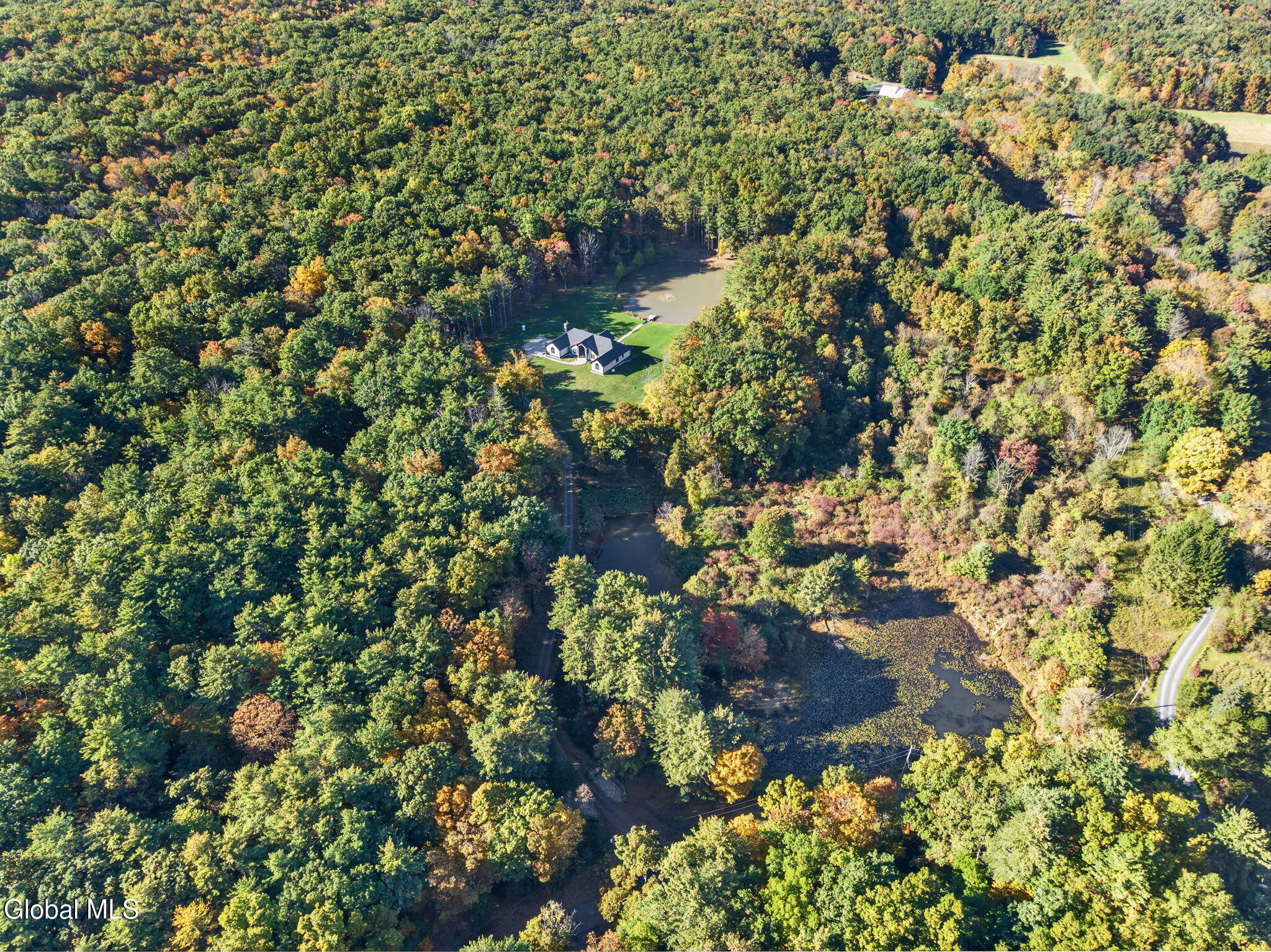 174 Webber Road Earlton NY 12058