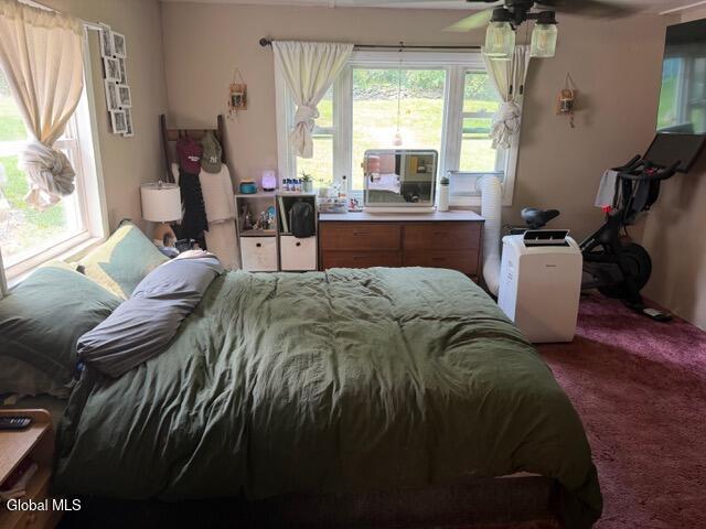 2210 County Route 26 Climax NY 12042