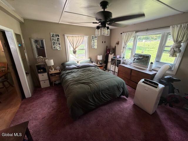 2210 County Route 26 Climax NY 12042