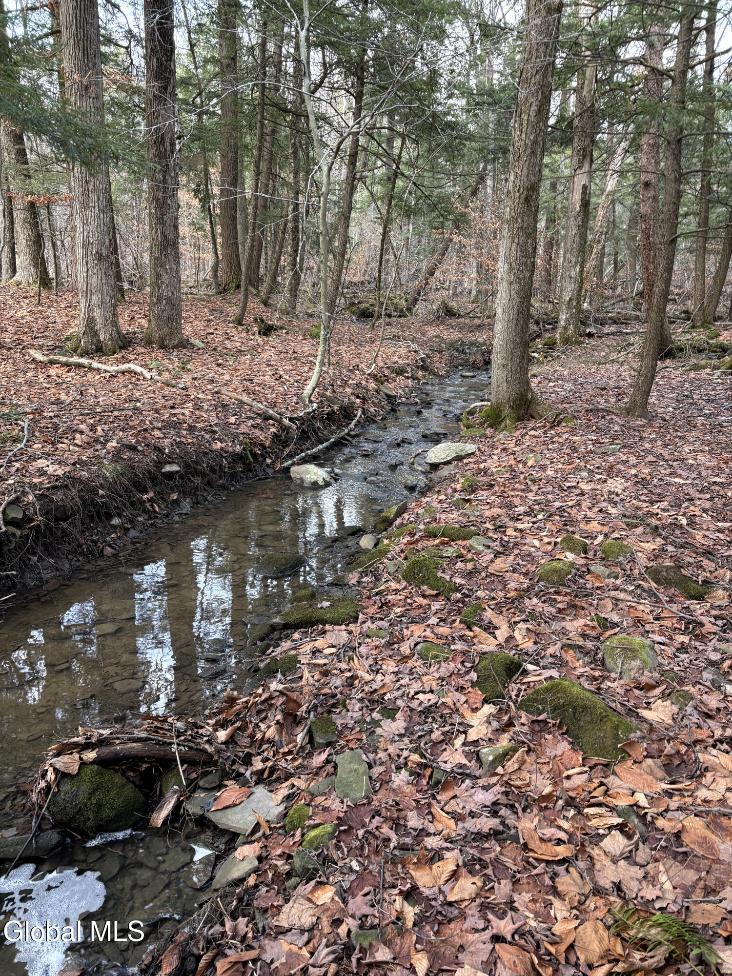 3109 Lake Road Duanesburg NY 12053