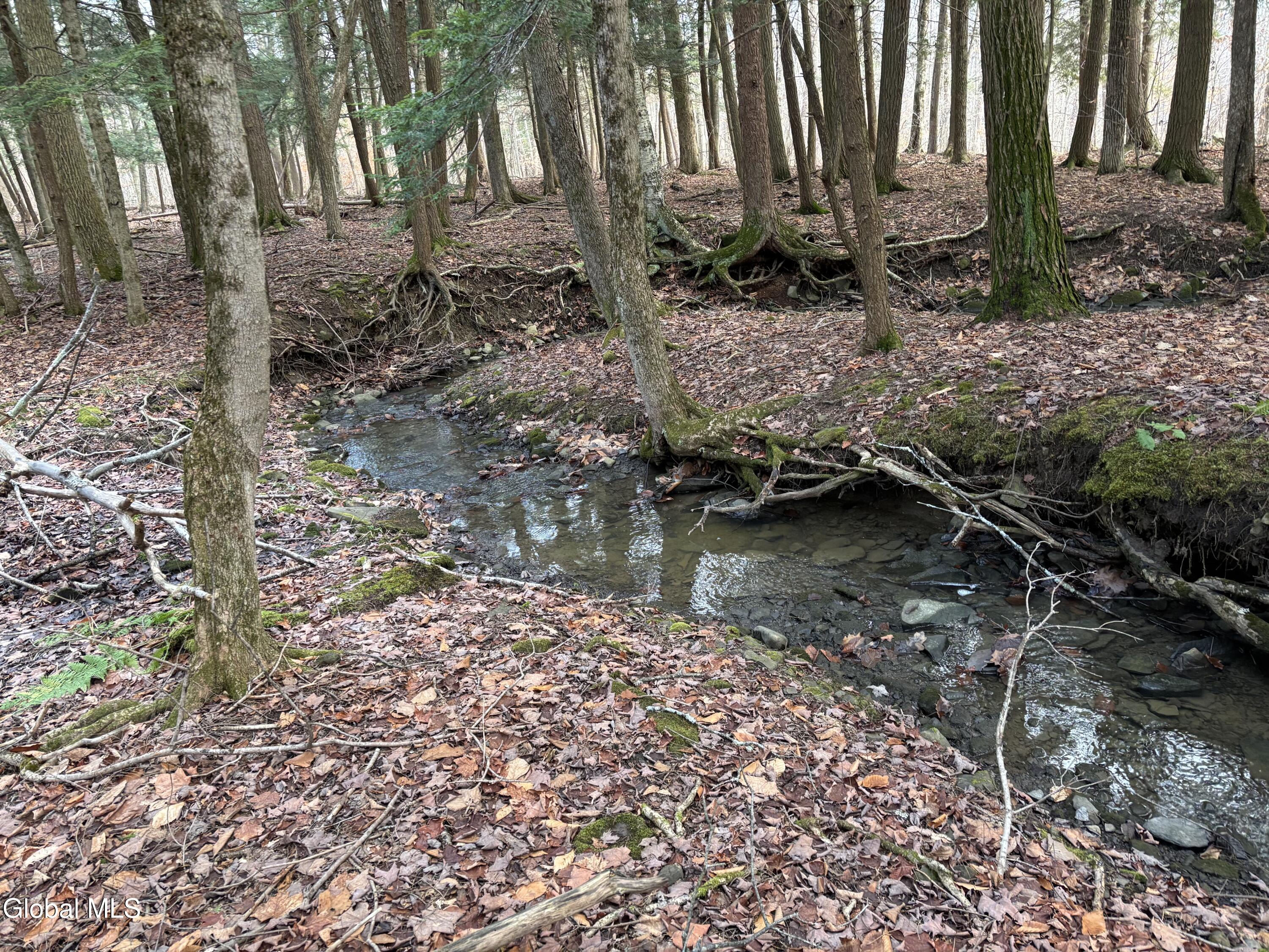 3109 Lake Road Duanesburg NY 12053